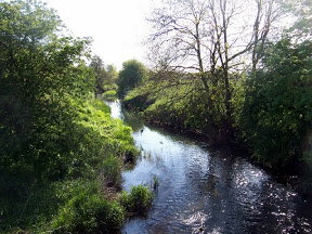 100_2206_resized (1)