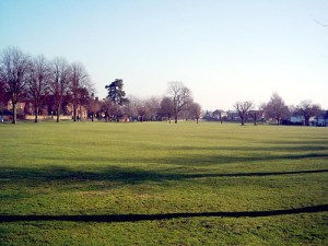 1416823729_8ee93f0c6a