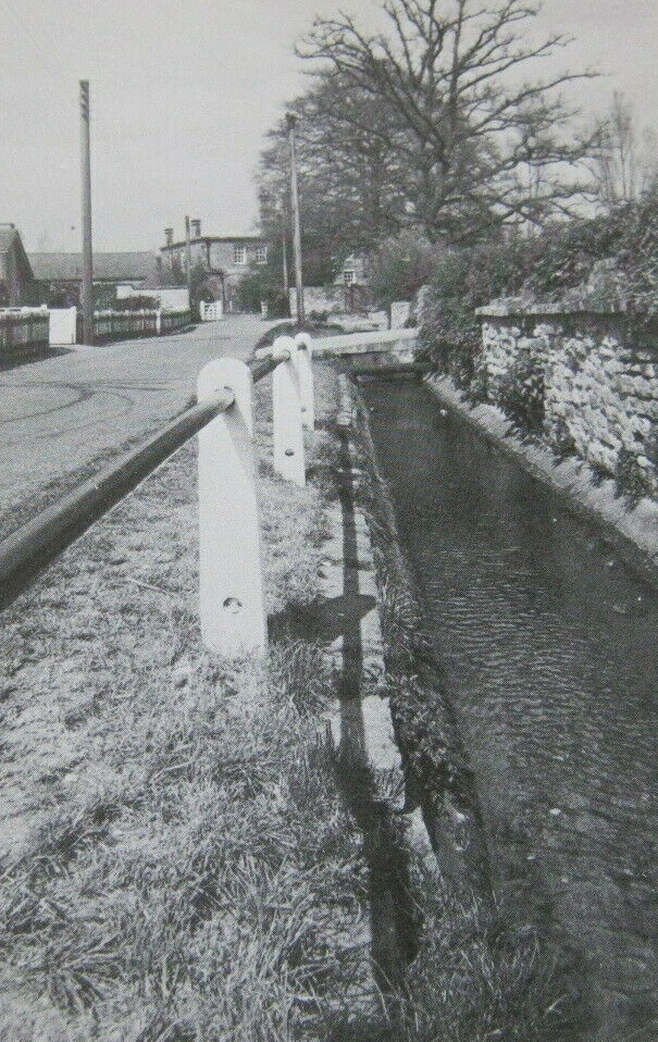 NetherHeyford_VintagePostcards_ManorWalk3