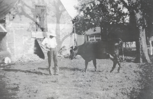 The_Story_Of_Heyford_Nether_Heyford_Ladders_4